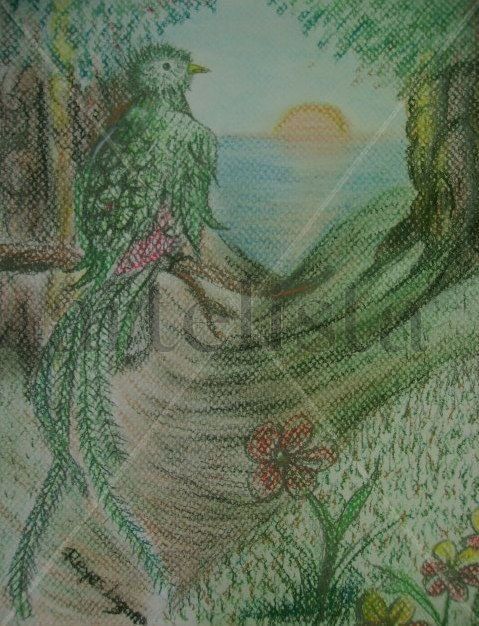 quetzal