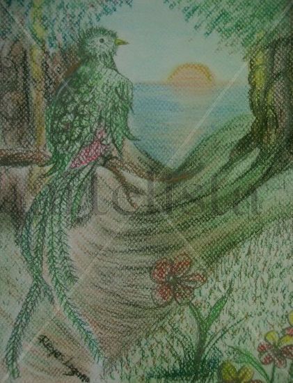 quetzal Pastel Papel Paisaje