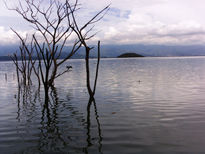 Lago