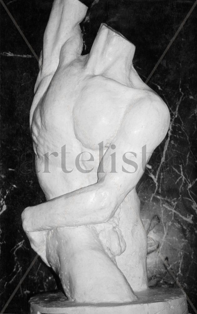 TORSO ESPIRAL