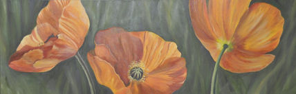 Amapolas