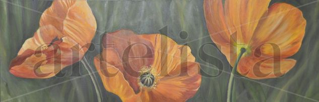 Amapolas Oil Canvas Floral Painting