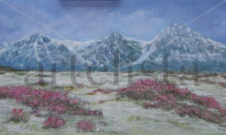Paisajes