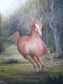 Caballo