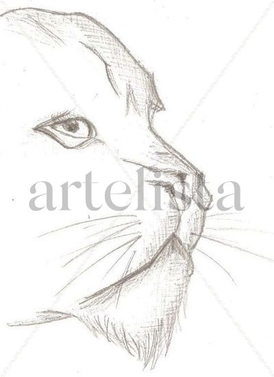Sin título Charcoal