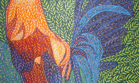 Serie La Naturaleza