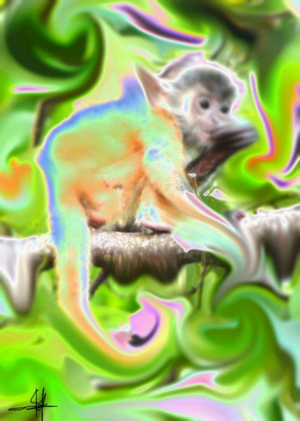 Mono