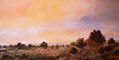 Vistas
