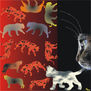 año del gato