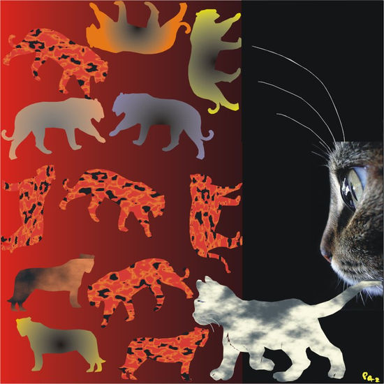 año del gato 