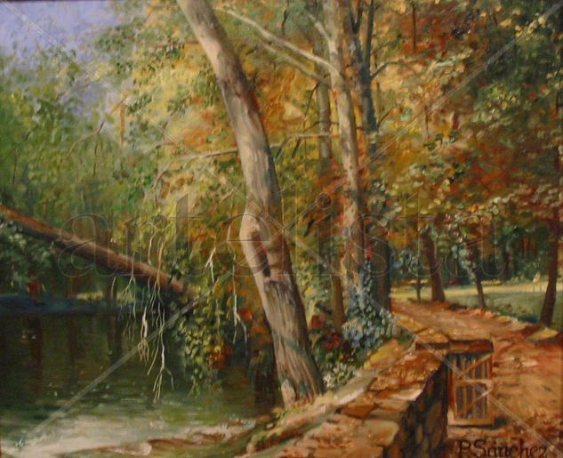 Monasterio de Piedra Oil Canvas Landscaping