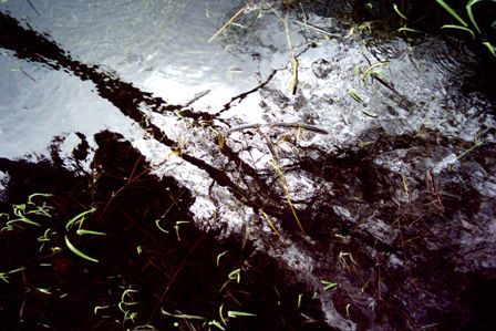 Lago de Yojoa Nature Color (Digital)