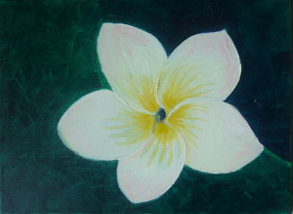 Flor