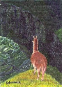 llama Oil Canvas Landscaping