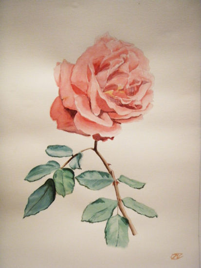 La rosa. Watercolour Paper Floral Painting