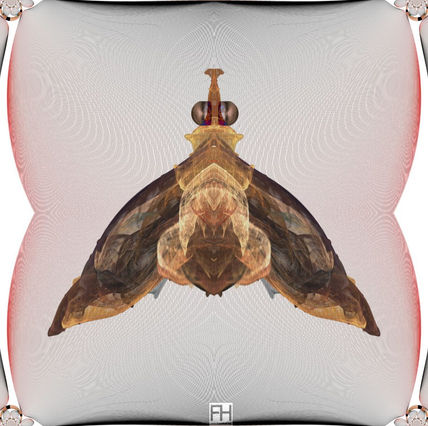 Mosca Fractal en la...
