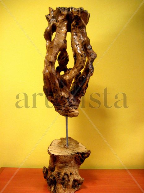 "Fenicia"