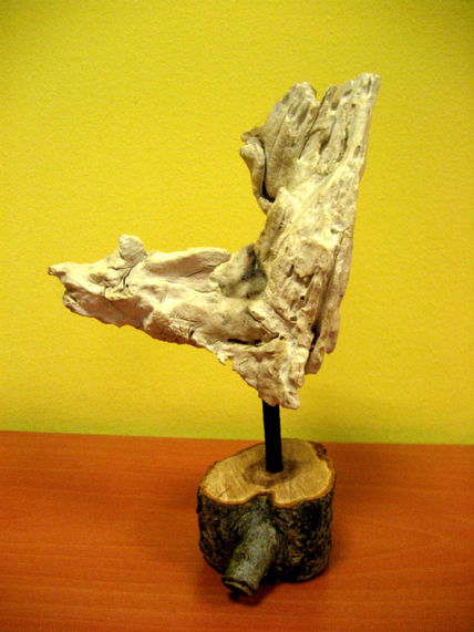 "zeus"