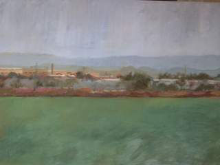Campo