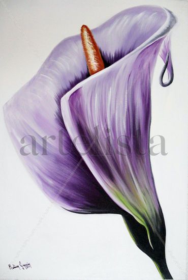 alcatraz morado Oil Canvas Floral Painting