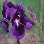 Flores con colores imaginados thumbnail 2