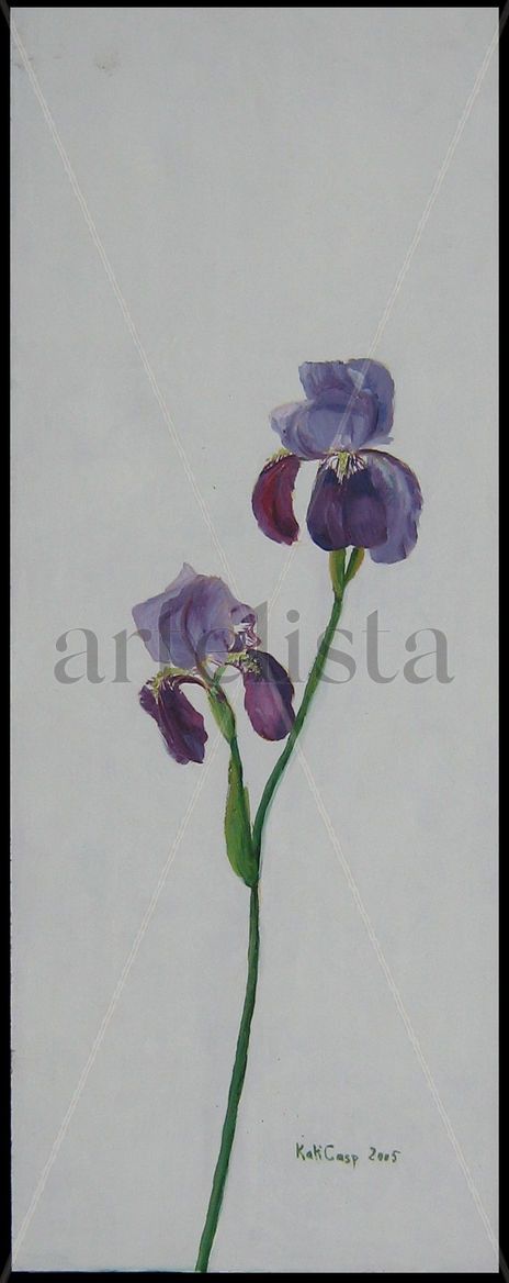 Flor iris