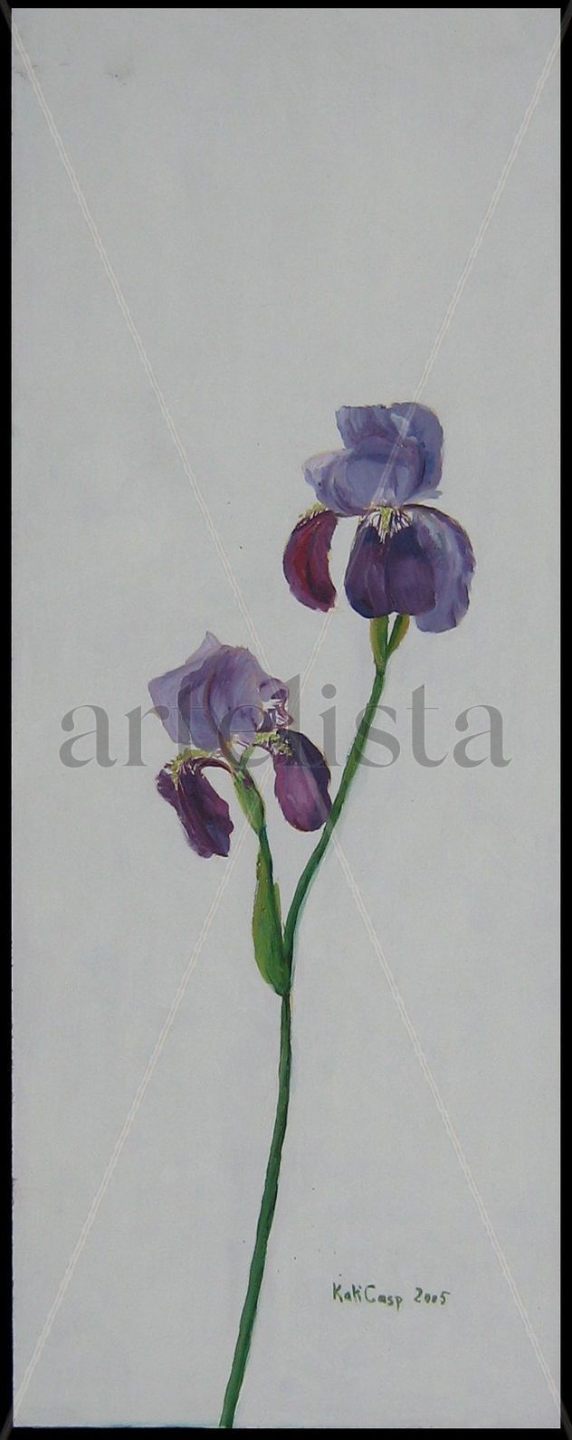 Flor iris