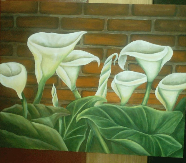CALAS BLANCAS 1