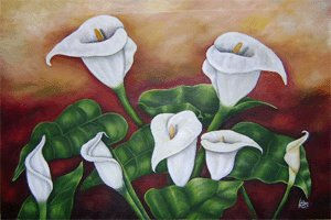 Calas blancas 2