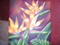 FANTACIA TROPICAL