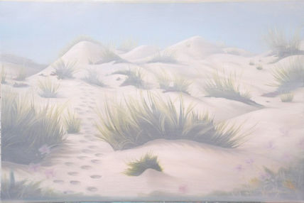 Dunas com nevoeiro