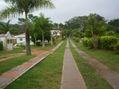 CAMINO CAMPESTRE NATURAL !!