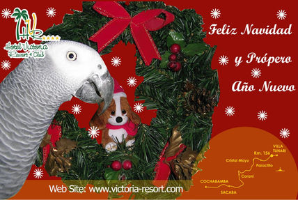 Navidad