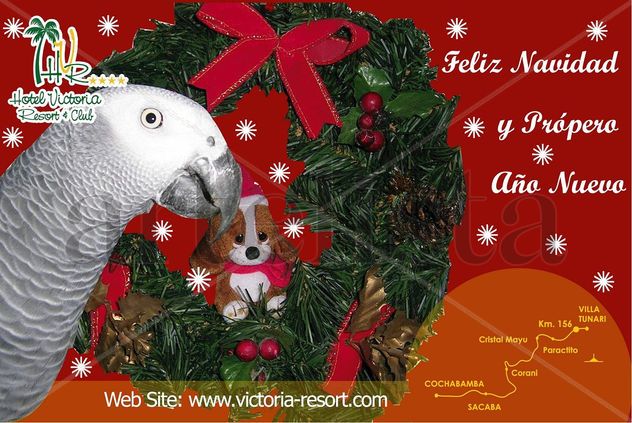 Navidad