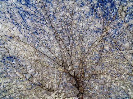 El cielo se serena,...