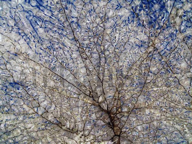 EL CIELO SE SERENA, UN DIAMANTE DE LUZ IRREFUTABLA