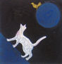 cielo felino
