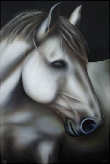 Caballo Marengo Oil Canvas Animals