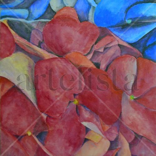 hortensia pequeña 3