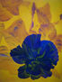 Hibisco azul sobre amarillo