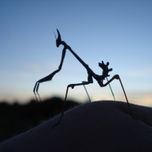 fotografia2 thumbnail 1