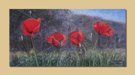 Amapolas