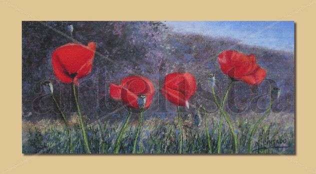 Amapolas