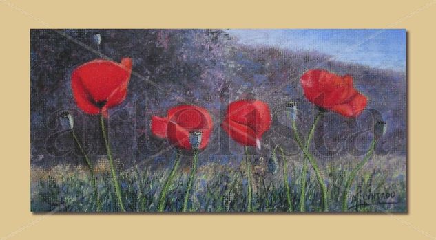 Amapolas Pastel Panel Landscaping