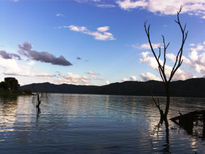Lago Tacarigua...