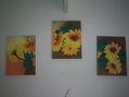 GIRASOLES!!!