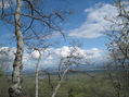 paisaje