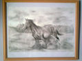 caballos