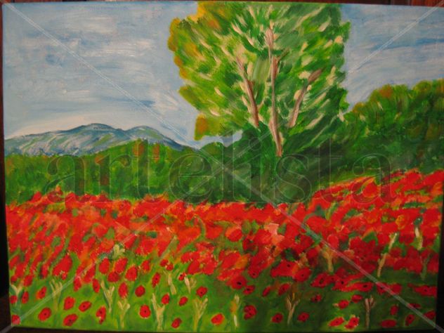 Campo de amapolas ( coquelocots)