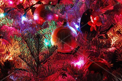 Navidad